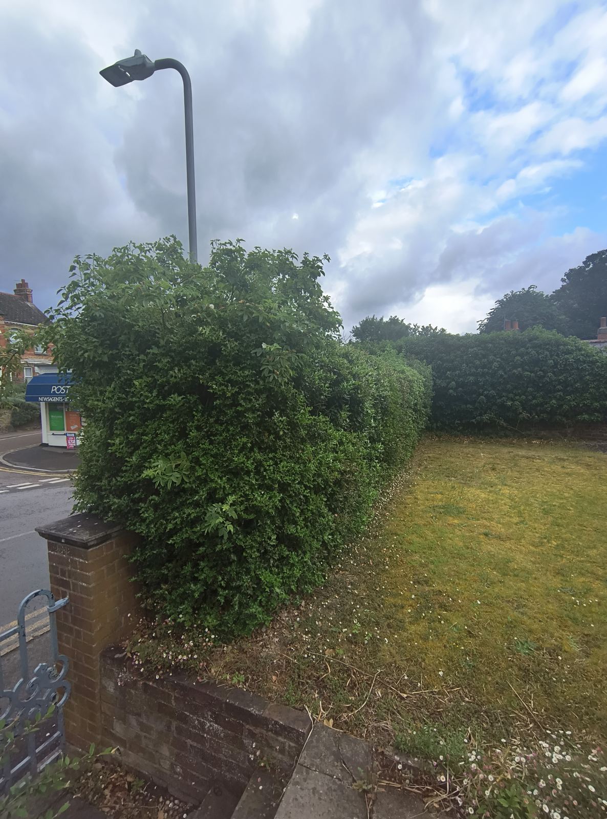A corner box hedge near a post office in Eastry, kept in shape