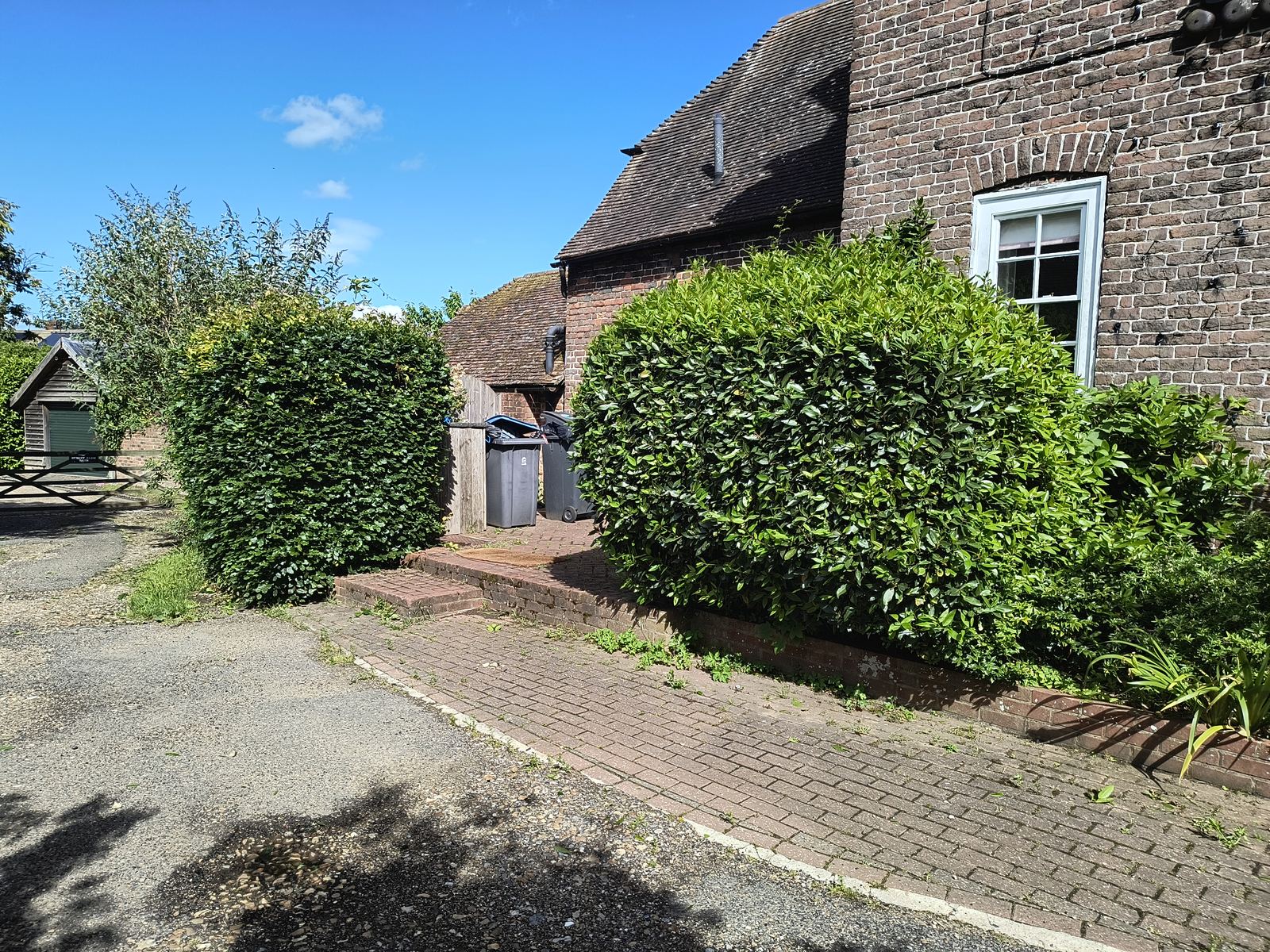 The finished roadside hedge outside a cottage window near Woodnesborough, cut back and cleared