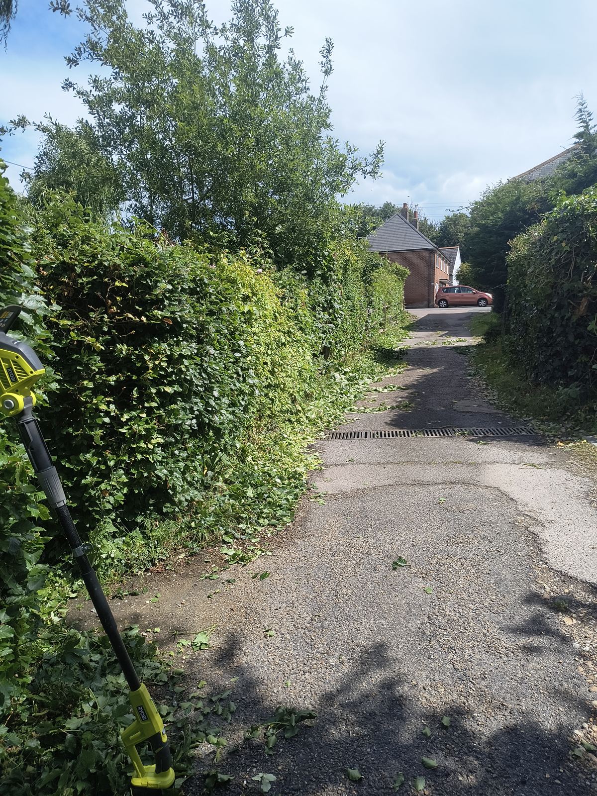 A long-reach trimmer at work on a roadside hedge near Woodnesborough