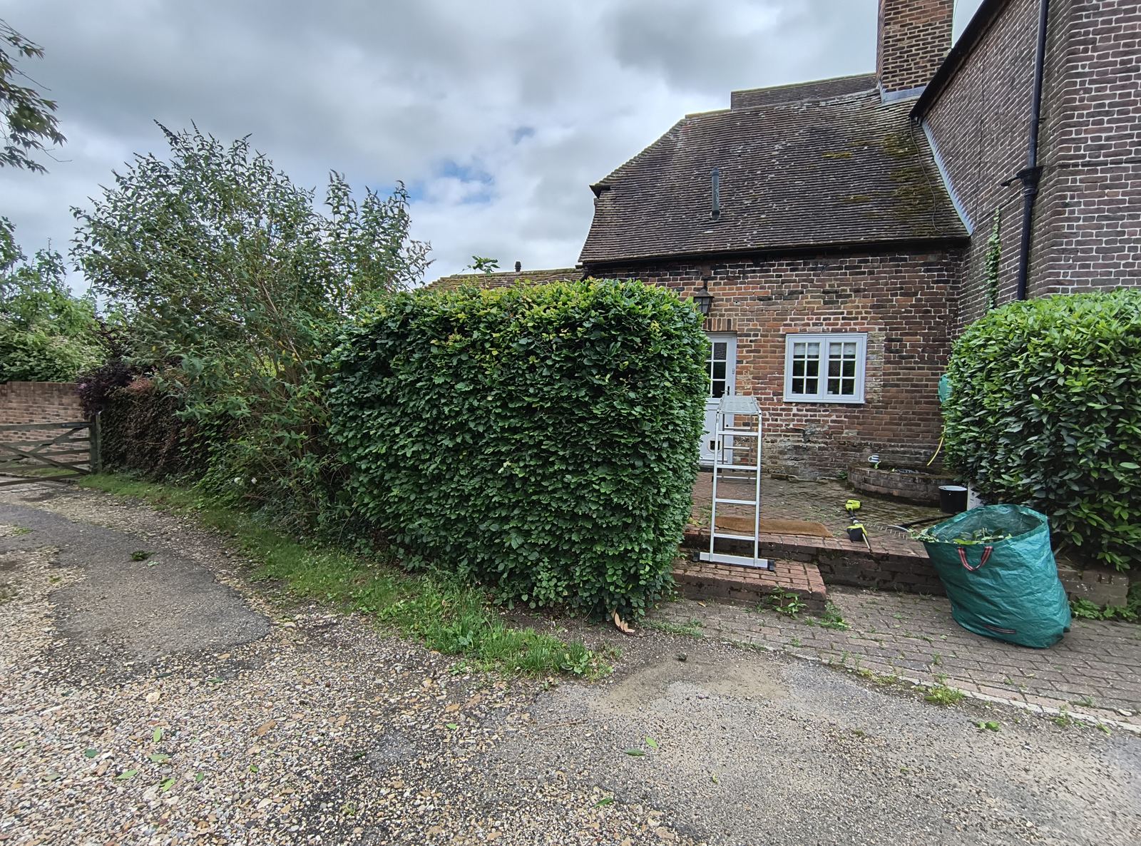 Overgrown box hedge either side of a cottage door in Woodnesborough before shaping
