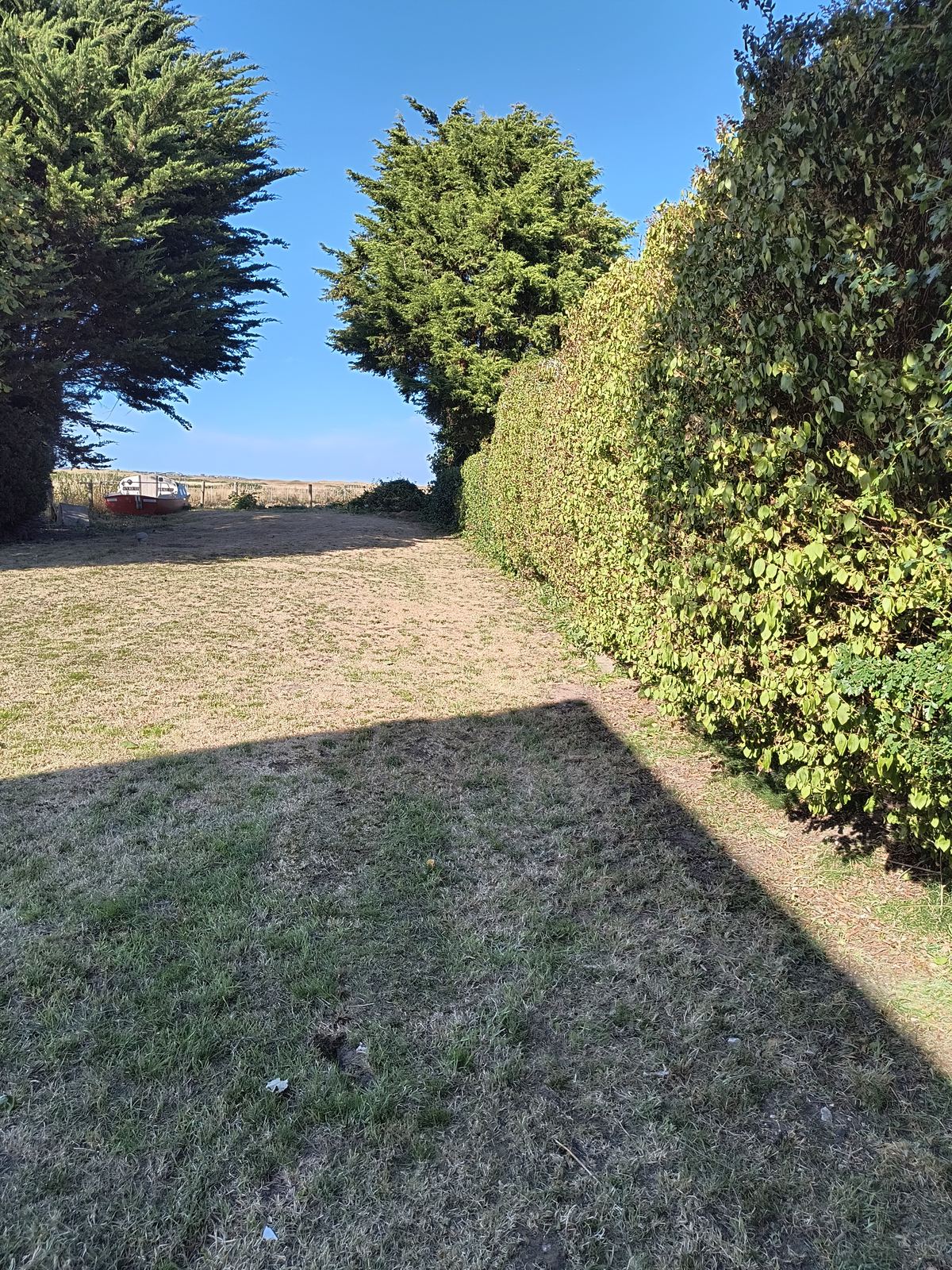 The same Worth roadside hedge finished, running straight and level along the verge