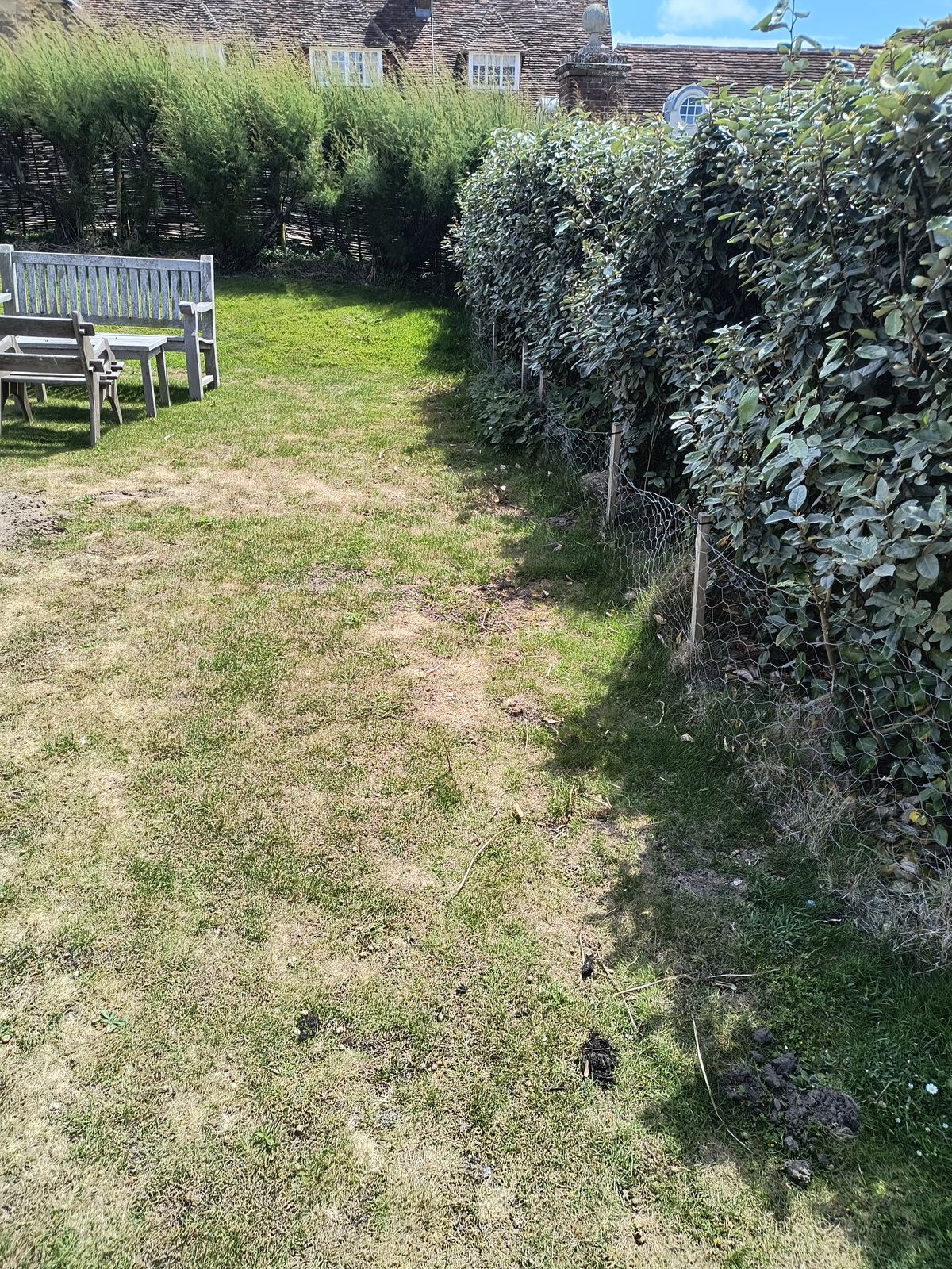 Garden in Worth during the visit, box shapes and the driveway conifer hedge being worked on